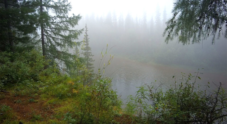 Река Лена — в тумане